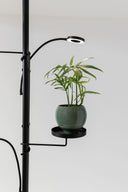 Grow Light Pole System
