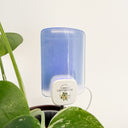 Gnat Glow Trap - Starter Pack - PREORDER