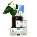 Gnat Glow Trap + Refill Bundle PREORDER