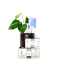 Gnat Glow Trap + Refill Bundle PREORDER