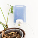 Gnat Glow Trap Set of 4 Glow Traps - PREORDER