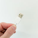 Gnat Glow Trap - Starter Pack - PREORDER