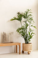 Olive Rattan Open Weave Ball Feet Planter