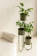 Dolly 3 Tier Plant Stand Eucalyptus Green - Coming Soon