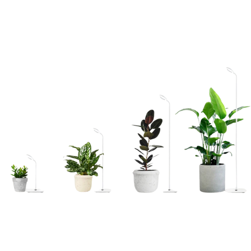 **PREORDER**  Grow Light Stand  SET OF 3 - White