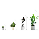 Grow Light Stand - Black