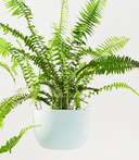 Raw Earth - Medium Hanging Planter Shale Green