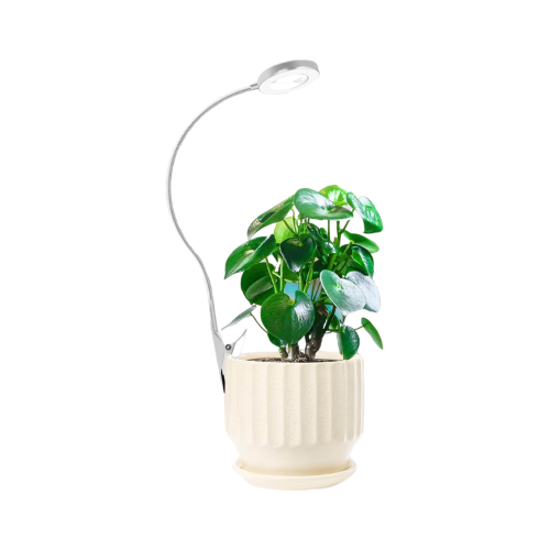 PREORDER*** Indoor Grow Light With Clip - White