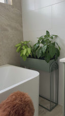 Large Metal Plant Stand - Eucalyptus Green