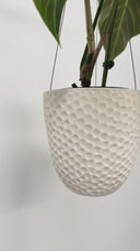 Shell Embossed Hanging Planter