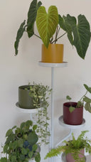 Marley Luxe 5 Tier Plant Stand - White