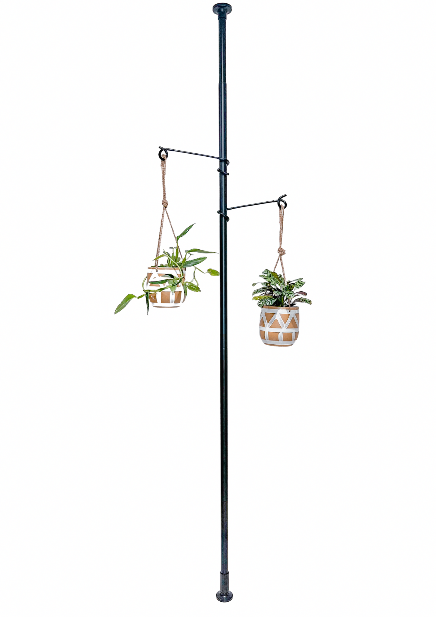 Tension Plant Hanging Pole - Black