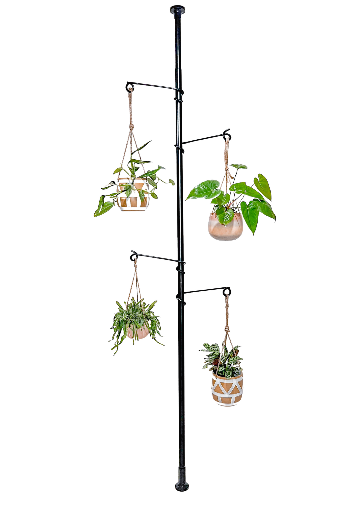 Tension Plant Hanging Pole - Black